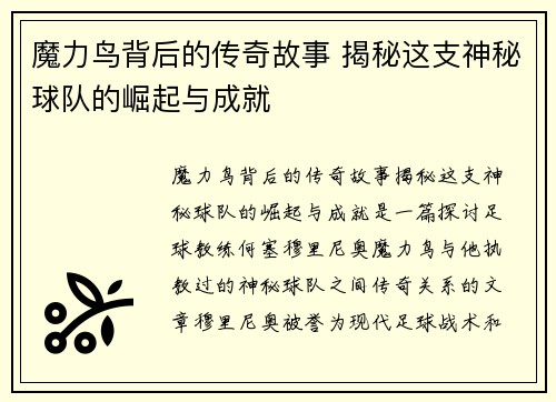 魔力鸟背后的传奇故事 揭秘这支神秘球队的崛起与成就
