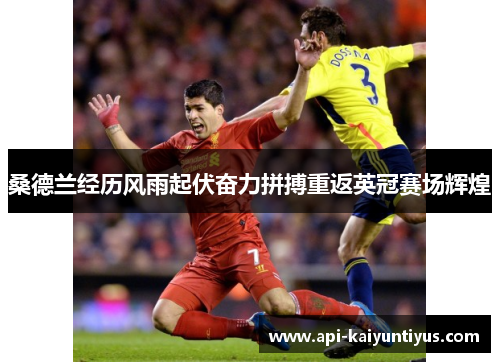 桑德兰经历风雨起伏奋力拼搏重返英冠赛场辉煌 桑德兰经历风雨起伏奋力拼搏重返英冠赛场辉煌