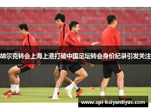 胡尔克转会上海上港打破中国足坛转会身价纪录引发关注